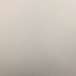 Meet your Posher, Natalia